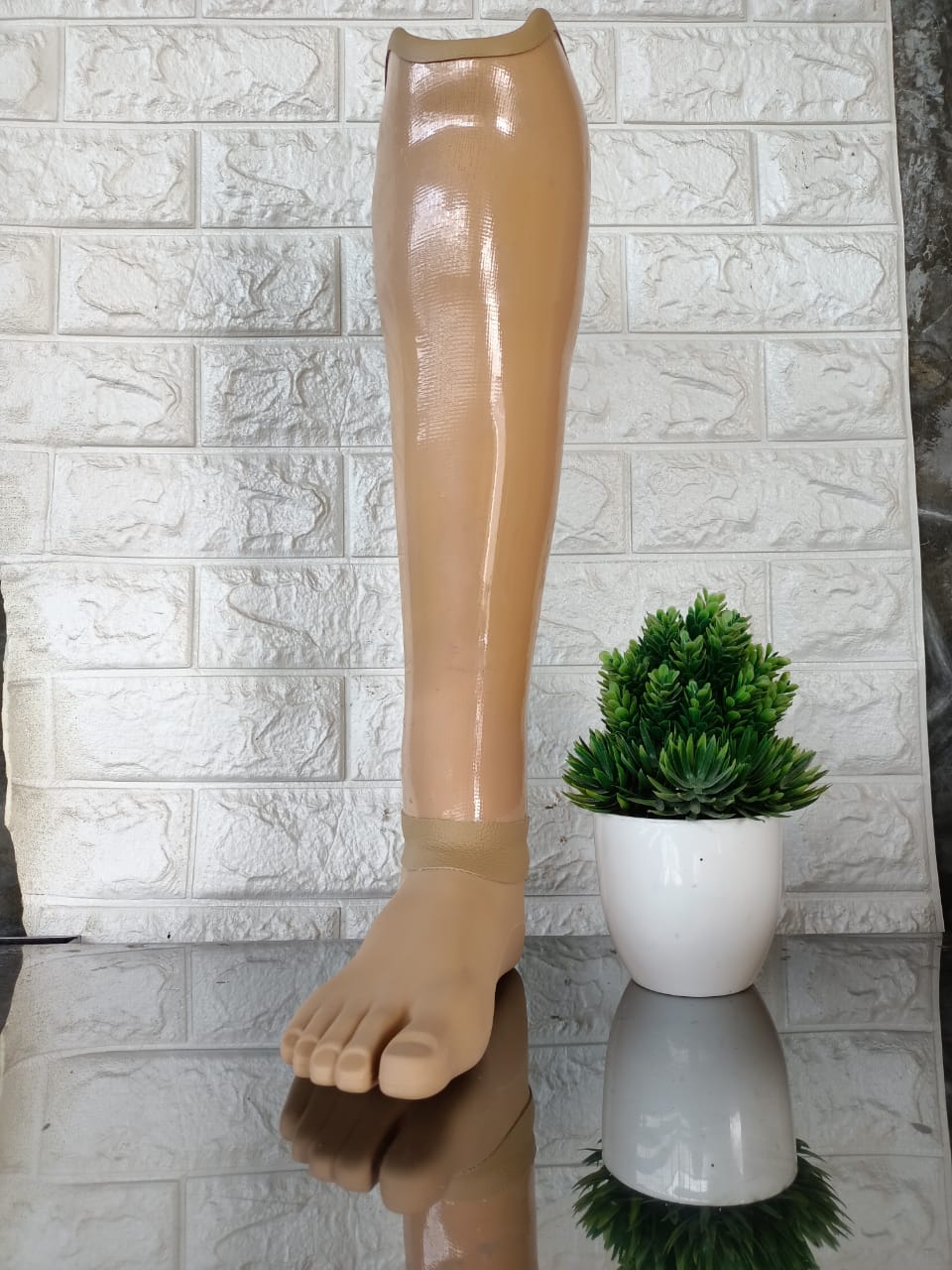 Kaki Palsu